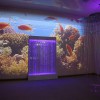 Проекционный дизайн "Виртуальная реальность" базовый комплект 500 анимаций - «globural.ru» - Нижний Новгород
