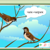 Интерактивное развивающее пособие "Говорящие картинки. Слушаем и повторяем" - «globural.ru» - Нижний Новгород