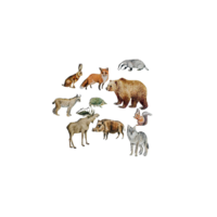 Фланелеграф "Животные леса" - «globural.ru» - Нижний Новгород