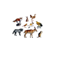 Фланелеграф "Животные степи" - «globural.ru» - Нижний Новгород