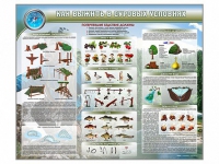 Стенд "Как выжить в суровых условиях" (вариант 1) - «globural.ru» - Нижний Новгород