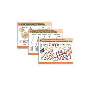 Комплект демонстрационных учебных таблиц (по предметной области музыка) - «globural.ru» - Нижний Новгород