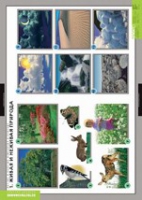 Окружающий мир. Летние и осенние изменения в природе (комплект таблиц) - «globural.ru» - Нижний Новгород