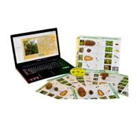 Коллекция натурально-интерактивная "Шишки, плоды, семена деревьев и кустарников" - «globural.ru» - Нижний Новгород