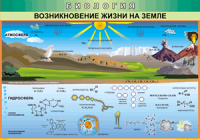 Таблица Возникновение жизни на Земле 1000*1400 винил - «globural.ru» - Нижний Новгород