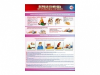 Стенды "Первая помощь в чрезвычайных ситуациях" - «globural.ru» - Нижний Новгород