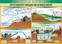 Таблица Круговорот веществ в биосфере 1000*700 винил - «globural.ru» - Нижний Новгород