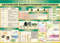 Таблица Биотические взаимоотношения организмов 1000*700 (винил) - «globural.ru» - Нижний Новгород