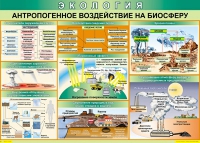 Таблица Антропогенное воздействие на биосферу 1000*700 винил - «globural.ru» - Нижний Новгород