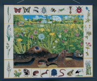 Магнитный плакат "Природное сообщество луга" - «globural.ru» - Нижний Новгород