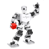 Базовый робототехнический набор  "Техник" для изучения систем управления робототехническими комплексами и андроидными роботами "Сережа ИН Про". Полный комплект на Raspbery Pi - «globural.ru» - Нижний Новгород