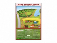 Магнитно-маркерная доска "Лесные и торфяные пожары" + комплект тематических магнитов - «globural.ru» - Нижний Новгород