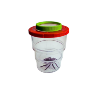 Коробка для изучения насекомых с лупой (вариант 2) - «globural.ru» - Нижний Новгород