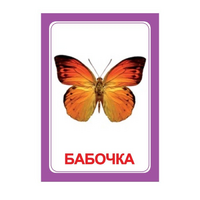 Логопедка "Ч" (логопедические карточки) - «globural.ru» - Нижний Новгород