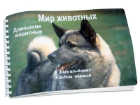 Пособие для слабовидящих "Домашние животные" - «globural.ru» - Нижний Новгород
