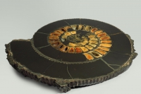 Аммонит пиритизированный, полированный срез 31,5х28х4 см - «globural.ru» - Нижний Новгород