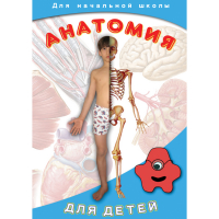 DVD  Анатомия для детей - «globural.ru» - Нижний Новгород