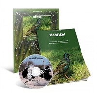 Электронное наглядное пособие «Птицы» - «globural.ru» - Нижний Новгород