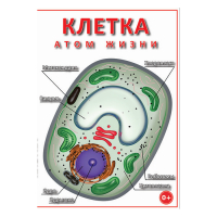 DVD Клетка - "атом жизни" - «globural.ru» - Нижний Новгород