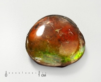 Аммолит (ископаемый перламутр аммонита) с горным хрусталем, дублет - «globural.ru» - Нижний Новгород