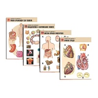 Комплект таблиц по биологии демонстрационный "Человек и его здоровье 1" (20 таблиц, формат А1, лам.) - «globural.ru» - Нижний Новгород
