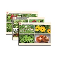 Комплект таблиц по ботанике раздаточных "Многообразие растений. Лекарственные и ядовитые"(16 штук, формат А4,лам) - «globural.ru» - Нижний Новгород