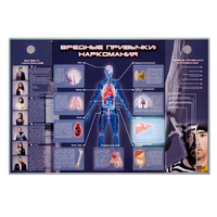 Электрифицированный стенд "Вредные привычки: наркомания" - «globural.ru» - Нижний Новгород