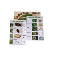 "Шишки, плоды, семена деревьев и кустарников" - «globural.ru» - Нижний Новгород