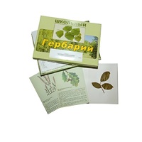 Гербарий "Дикорастущие растения" (30 видов, с иллюстрациями) - «globural.ru» - Нижний Новгород