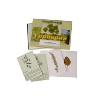 Гербарий "Лекарственные растения" (22 вида, с иллюстрациями) - «globural.ru» - Нижний Новгород