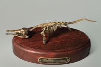 Модель скелета ихтиозавра Ichthyosaurus - «globural.ru» - Нижний Новгород