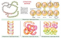 Плакаты и таблицы по общей химии - «globural.ru» - Нижний Новгород