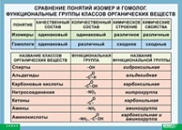 Химия. Сравнение понятий изомер и гомолог. Функциональные группы классов органических веществ (винил) - «globural.ru» - Нижний Новгород
