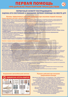 Плакат "Первичный осмотр пострадавшего, оценка его состояния и оказание первой помощи на месте ДТП " 1000*1400 винил - «globural.ru» - Нижний Новгород
