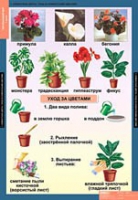 Окружающий мир 1 класс (комплект таблиц) - «globural.ru» - Нижний Новгород