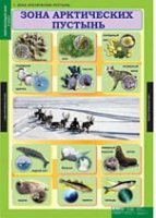 Окружающий мир 4 класс (комплект таблиц) - «globural.ru» - Нижний Новгород