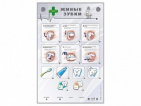 Интерактивный стенд "Живые зубки" - «globural.ru» - Нижний Новгород