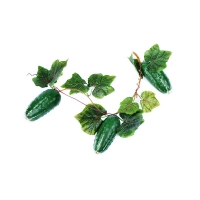 Муляж "Ветка огурцов" - «globural.ru» - Нижний Новгород