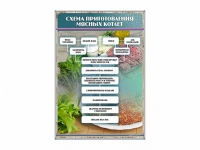 Стенд "Схема приготовления мясных котлет" - «globural.ru» - Нижний Новгород