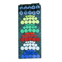 Дидактический набор «Кружки и зажимы» - «globural.ru» - Нижний Новгород