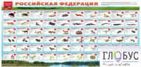 Стенд "Красная книга РФ" - «globural.ru» - Нижний Новгород