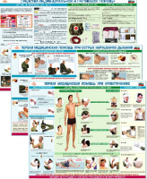 Комплект плакатов "Оказание первой доврачебной медицинской помощи" - «globural.ru» - Нижний Новгород