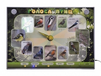 Электрифицированный стенд-часы "Голоса птиц" с комплектом дидактического материала - «globural.ru» - Нижний Новгород