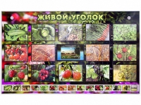 Комплект оборудования "Живой уголок" (растения) с тифлопереводом и сурдокомментариями - «globural.ru» - Нижний Новгород