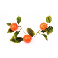 Муляж "Ветка мандарин" - «globural.ru» - Нижний Новгород