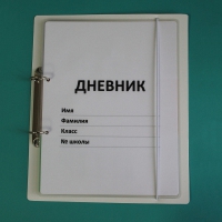 Дневник школьника (с полным набором карточек) - «globural.ru» - Нижний Новгород