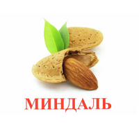 Карточки Домана "Орехи-Ягоды-2" - «globural.ru» - Нижний Новгород