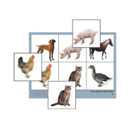 Лото "Домашние животные" (4 планшета, 24 карточки, цветное, ламинированное) - «globural.ru» - Нижний Новгород