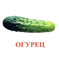 Карточки Домана "Овощи-Зелень-1" - «globural.ru» - Нижний Новгород