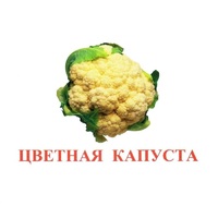 Карточки Домана "Овощи-Зелень-2" - «globural.ru» - Нижний Новгород